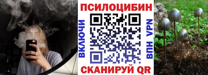 Псилоцибиновые грибы прущие грибы  нарко площадка как зайти  Добрянка  сколько стоит 