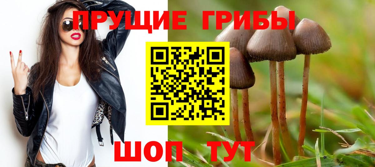 Псилоцибиновые грибы Cubensis  купить закладку  Добрянка  Вход с VPN 